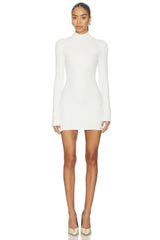 Britt Faux Fur Cuff Mini Dress